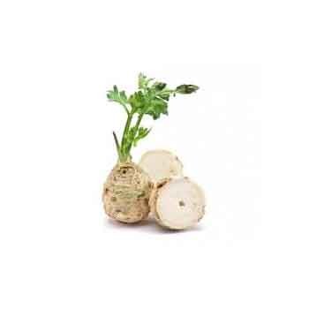 Divers légumes  Celeri rave- pièce SUBERY NON BIO