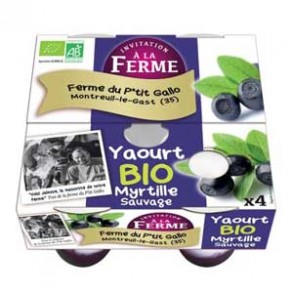 Yaourts (vache)-Les yaourts à la myrtille par 4- bio-LE P TIT GALLO