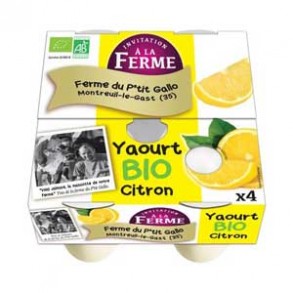 Yaourts (vache)-Yaourt bio aromatisé citron- 4*125 g-LE P TIT GALLO