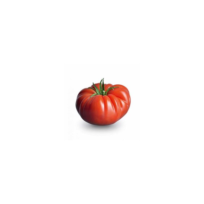 Divers légumes  Tomate cotelée rouge bio- kg BIO RENNES