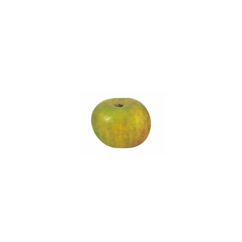 Pomme Bio Reinette Clochard Kg Fruits Frais Verger Mitan Cranne