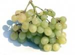 Commander en ligne-raisin bio blanc (Italie)- 500 grs-BIO RENNES
