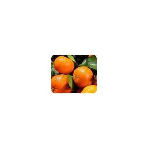 Fruits frais Mandarine (Israël) - Kg SUBERY NON BIO